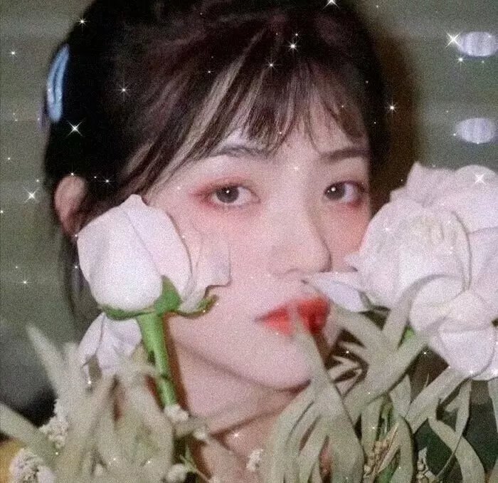 石纪元第四季