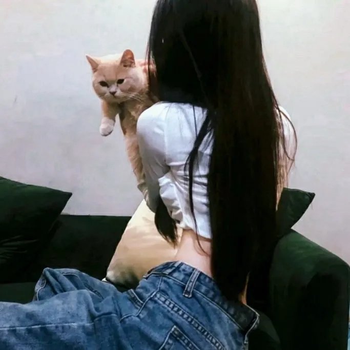 阿尔蒂