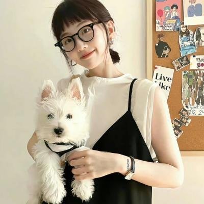 探险活宝第三季